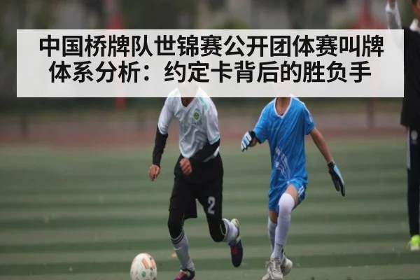 中国桥牌队世锦赛公开团体赛叫牌体系分析：约定卡背后的胜负手