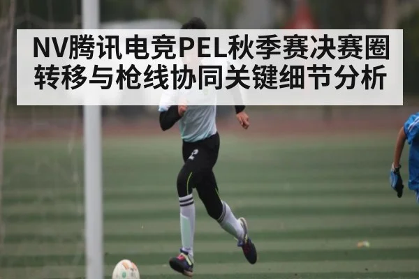 NV腾讯电竞PEL秋季赛决赛圈转移与枪线协同关键细节分析